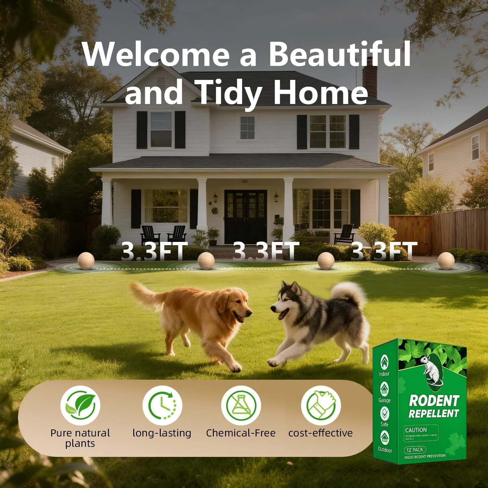 🐭 Natural Peppermint Rodent Repellent – Keep Pests Away Safely 🌿