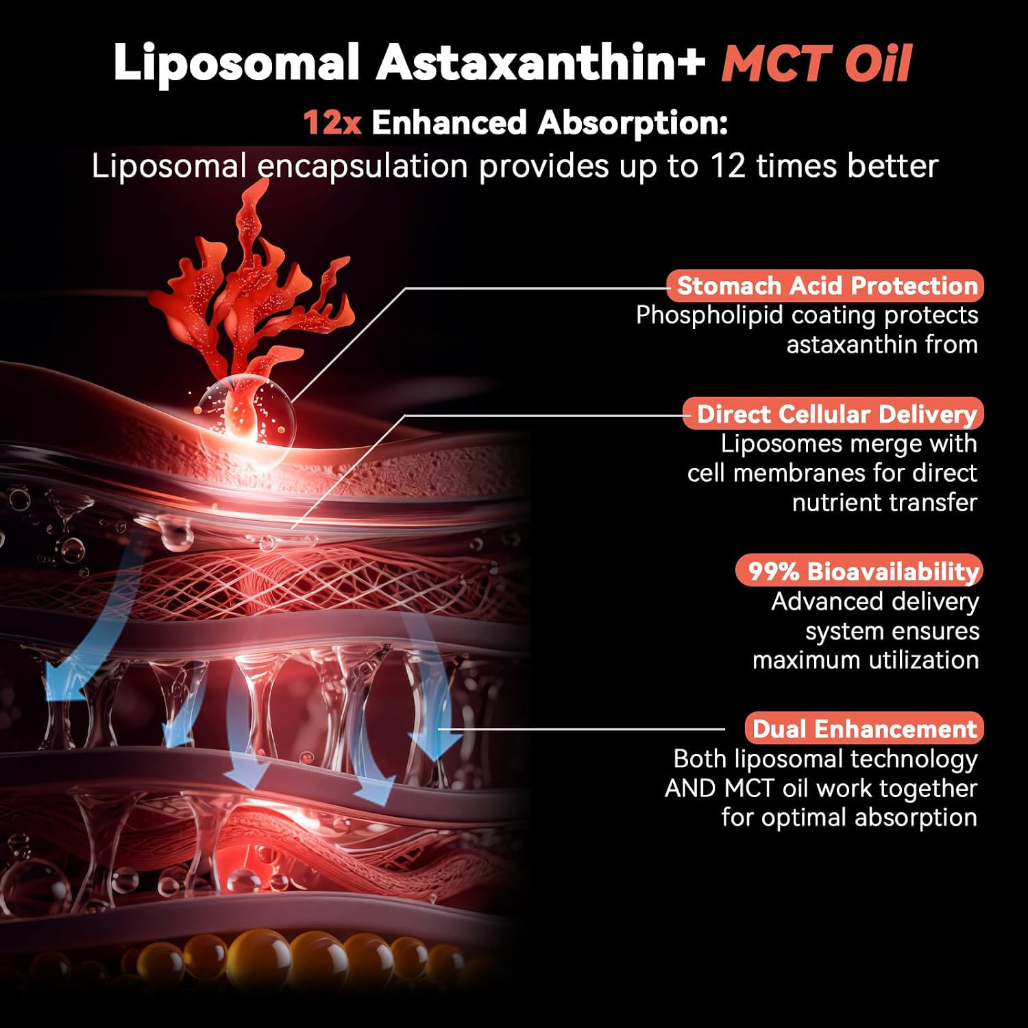 10-in-1 Astaxanthin Antioxidant Supplement 12mg Liquid Drops