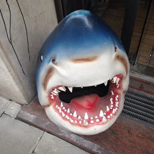 🦈Great White Shark Garden Art