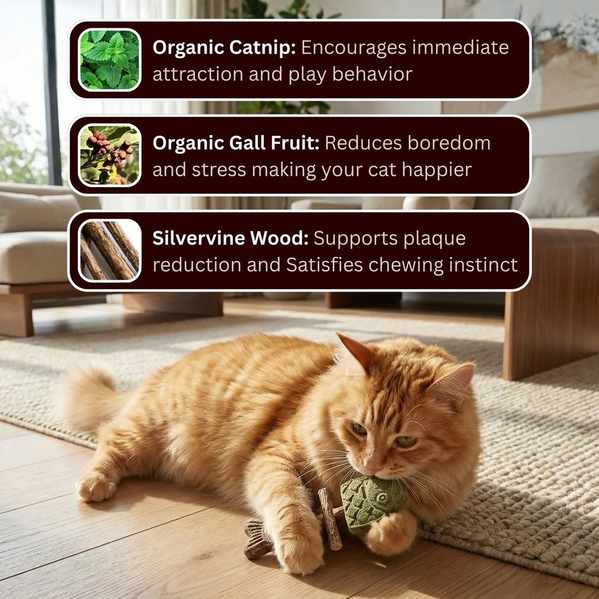 🦷🐱Natural Silvervine Dental Chew Toy for Cats-Let Your Cat Brush Their Own Teeth!