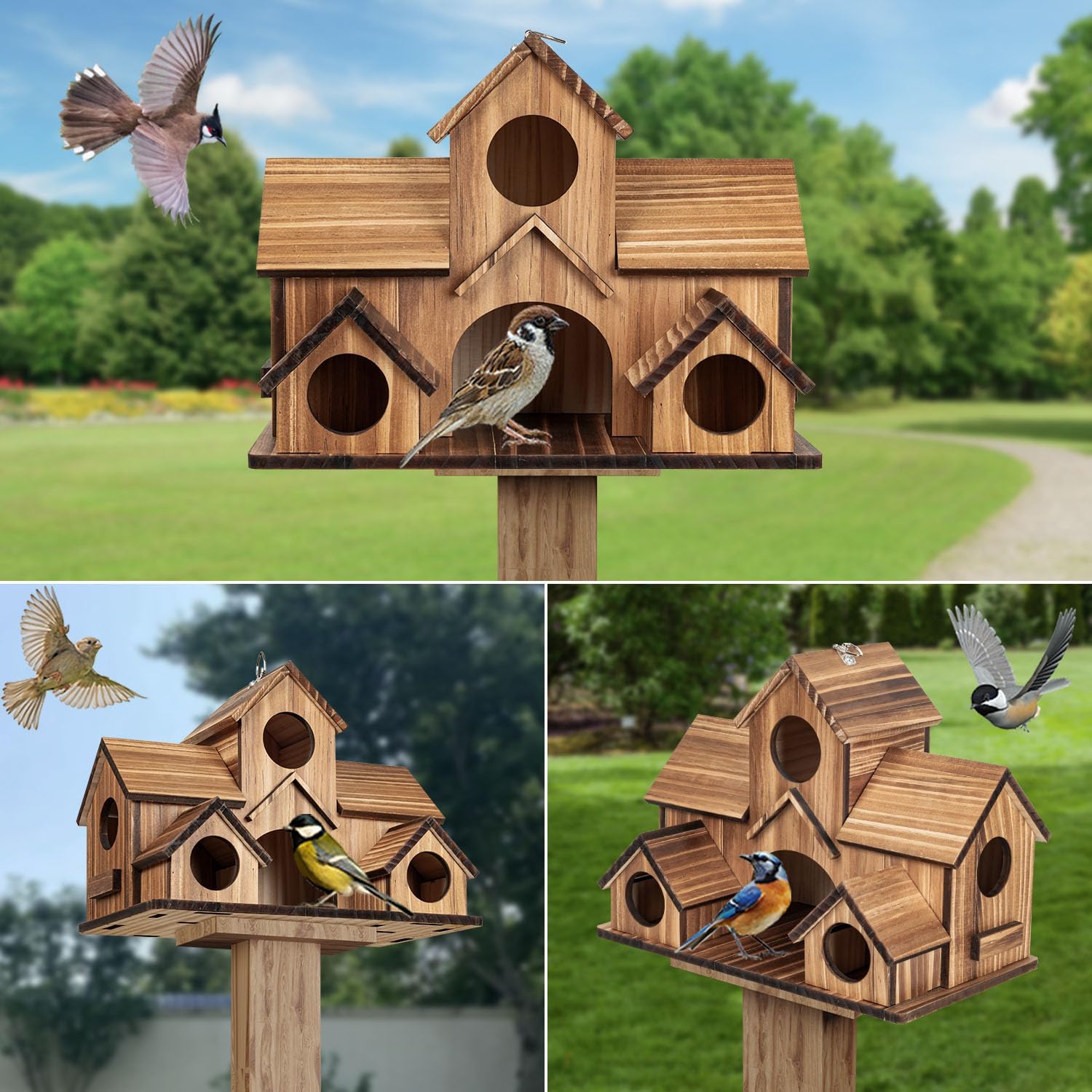 Rustic Wooden Birdhouse🏠🐦🌿