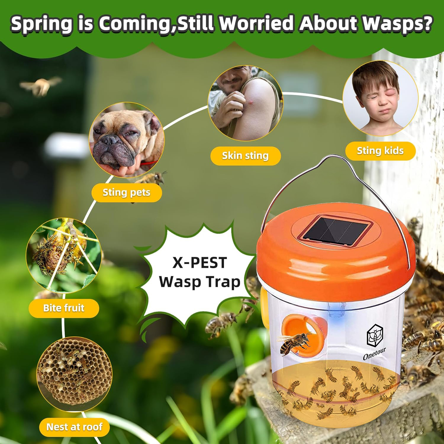 Garden Solar Powered Wasp Trap