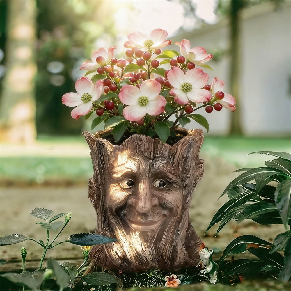 🌿Tree Spirit Face Planter