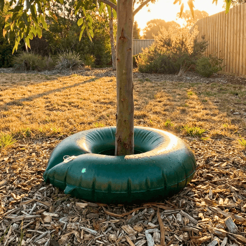 Slow Release Tree Watering Bag