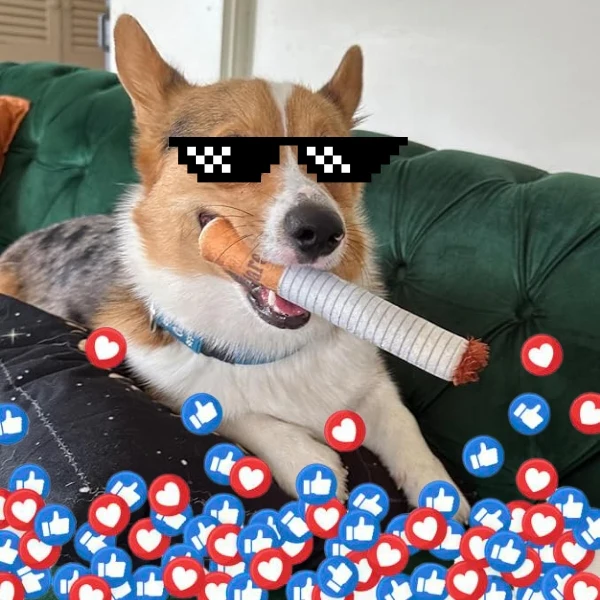 Funny Interactive Giggle Sound Plush Cigarette Dog Toy