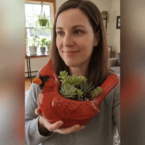 Ceramic Bird Succulent Planter