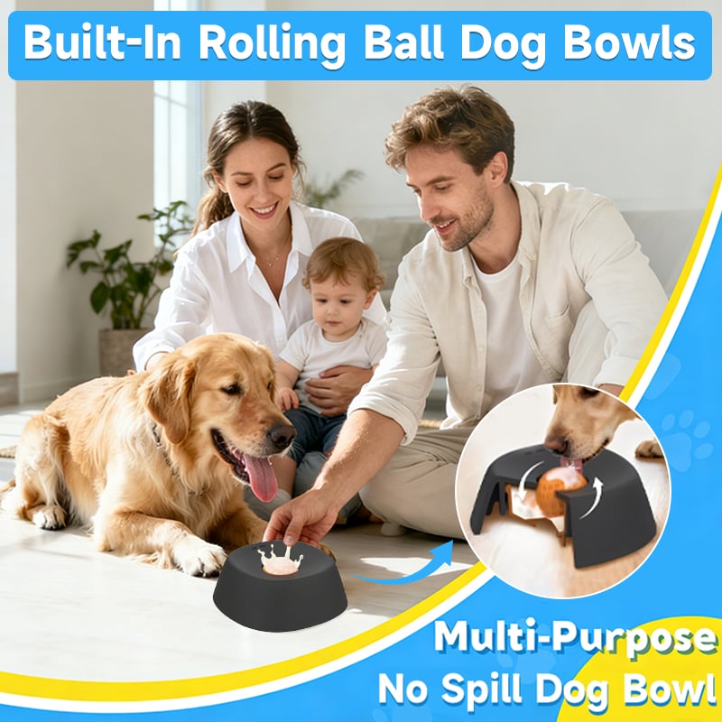 Slow Feeder Dog Bowl