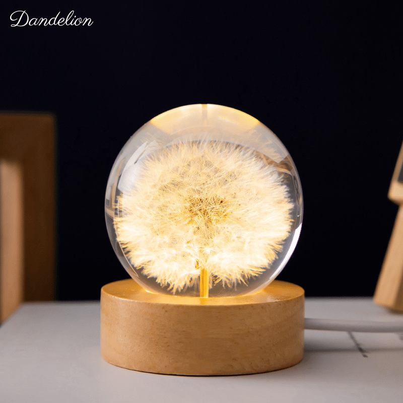 3D Dandelion Crystal Ball Lamp