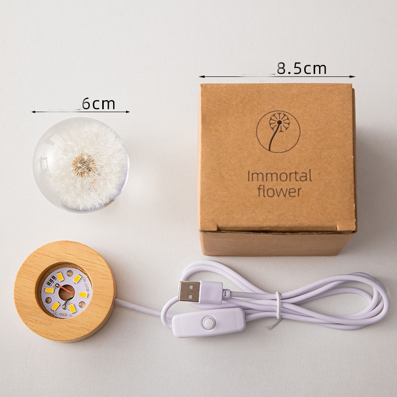 3D Dandelion Crystal Ball Lamp