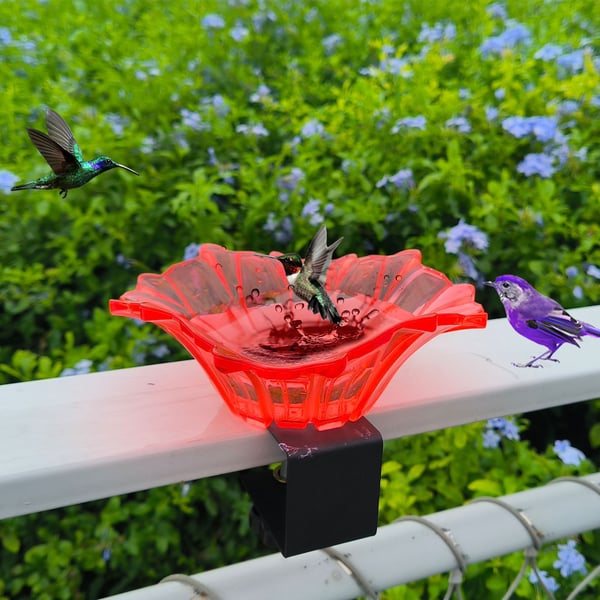 New Outdoor Garden Bird Bath Bowls & Bird Feeders
