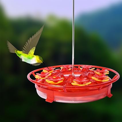 Hummingbird Feeder