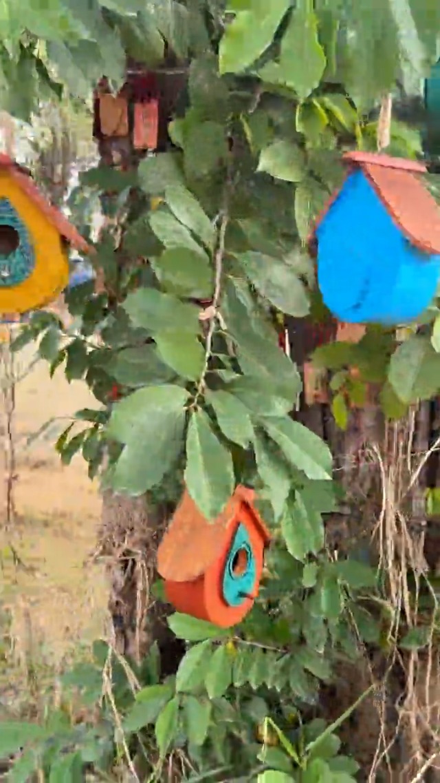 Handmade Wooden Hummingbird Houses