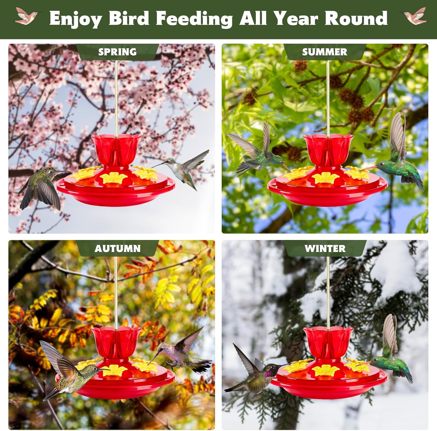 Hummingbird feeders