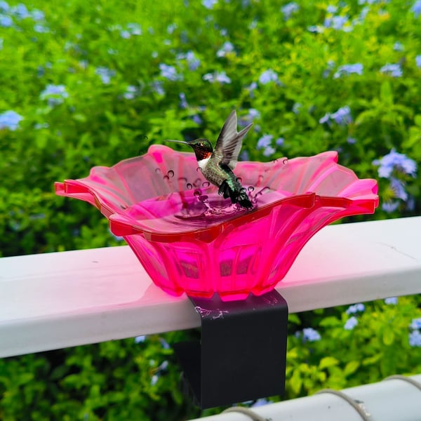 New Outdoor Garden Bird Bath Bowls & Bird Feeders