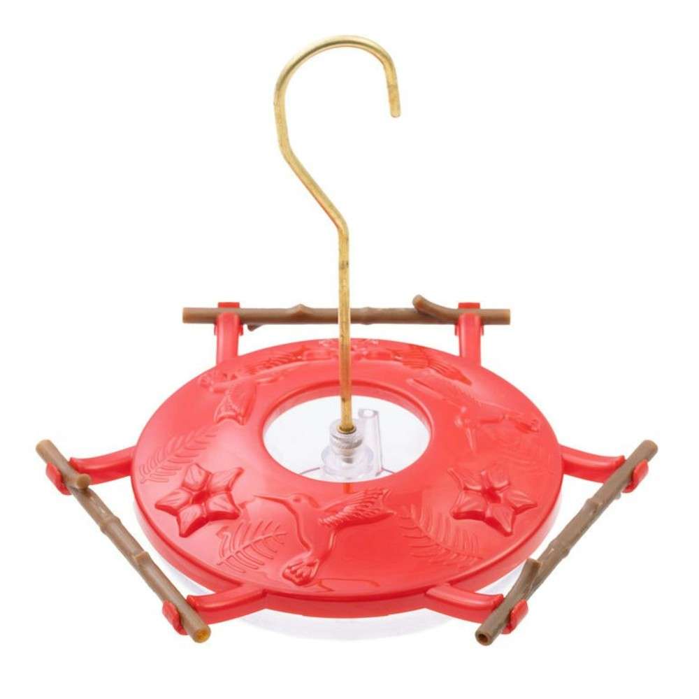 Hummingbird Feeder——A natural perch hummingbirds love