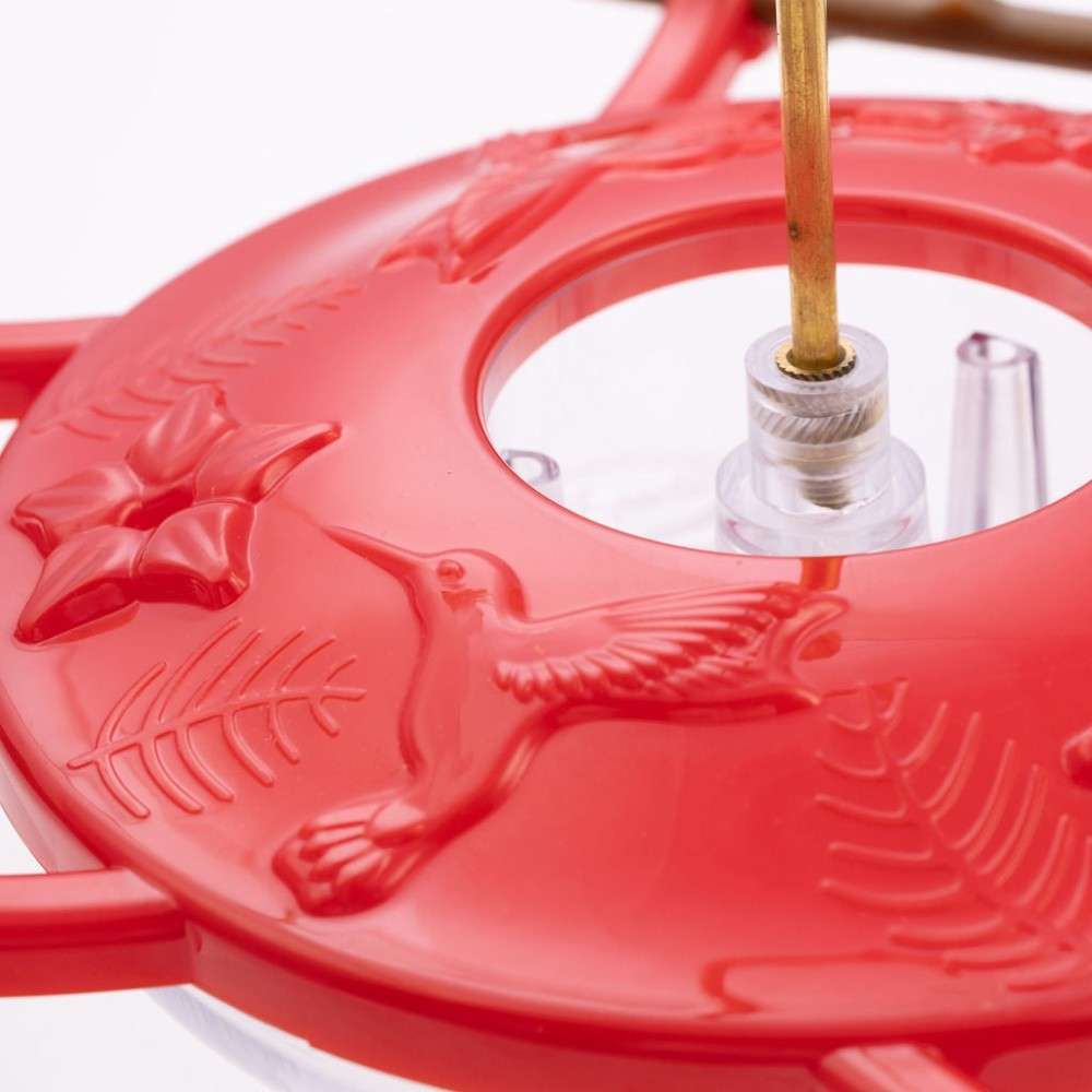 Hummingbird Feeder——A natural perch hummingbirds love