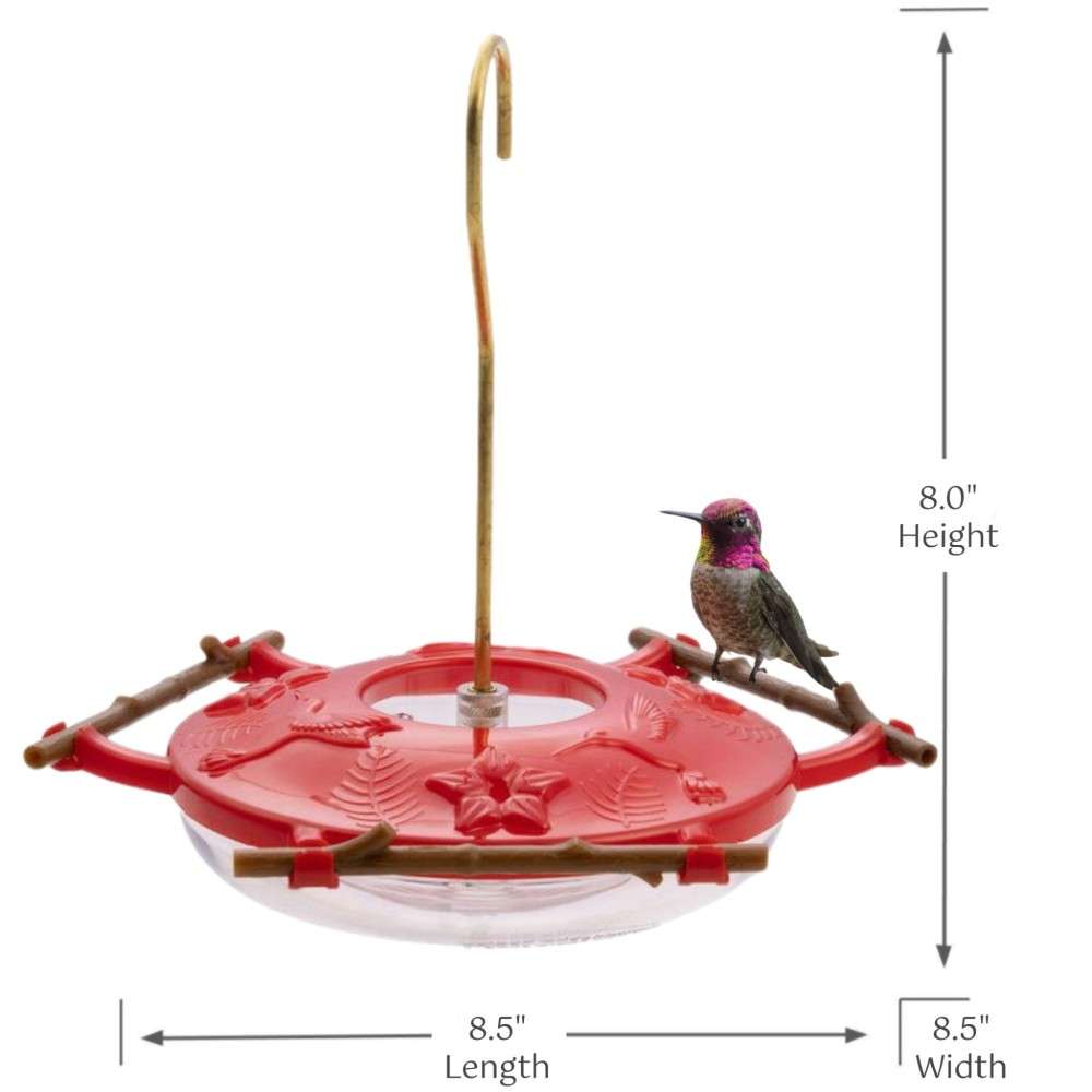 Hummingbird Feeder——A natural perch hummingbirds love