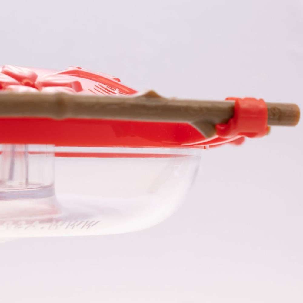 Hummingbird Feeder——A natural perch hummingbirds love