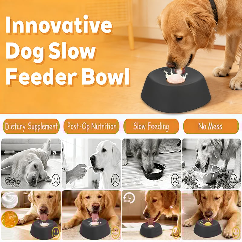 Slow Feeder Dog Bowl