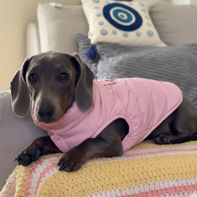 Extra Thick Fleece-Lined Dog Coat, Suitable For Small And Medium-Sized Dogs And Cats.