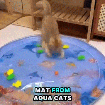 2025 New Thickened Summer Pets Cooling Water Sensory Play Mat for Cats Dog