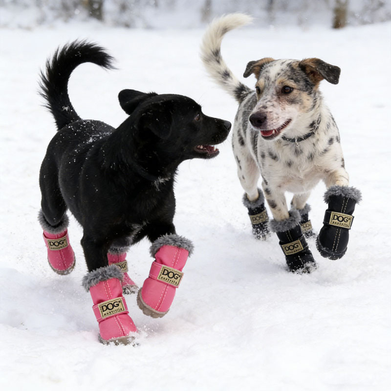 🐾✨ Grishay™ Stylish Winter Dog Boots – Pawsome Protection & Fashion ✨🐾