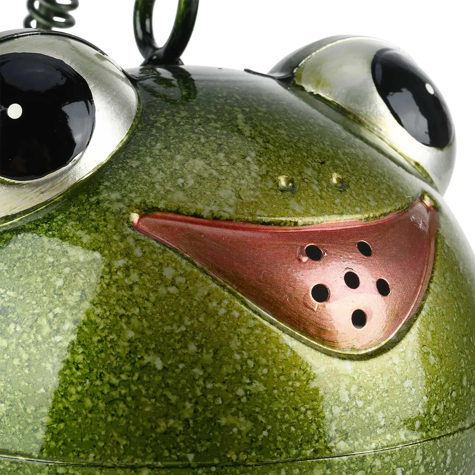 Frog Metal Watering Can for Outdoor