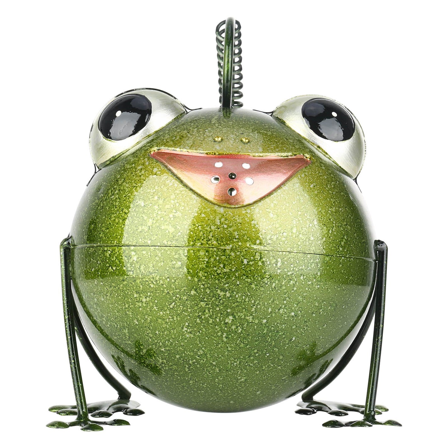 Frog Metal Watering Can for Outdoor
