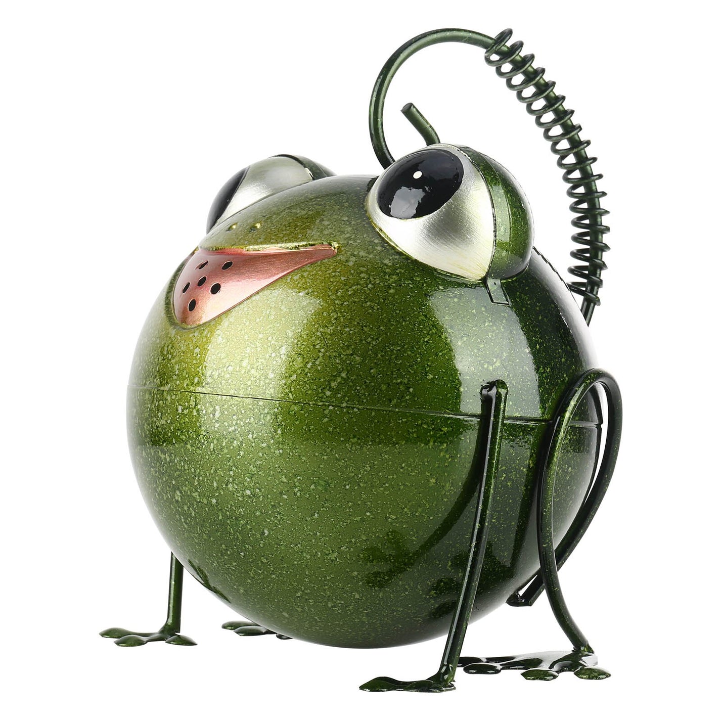 Frog Metal Watering Can for Outdoor