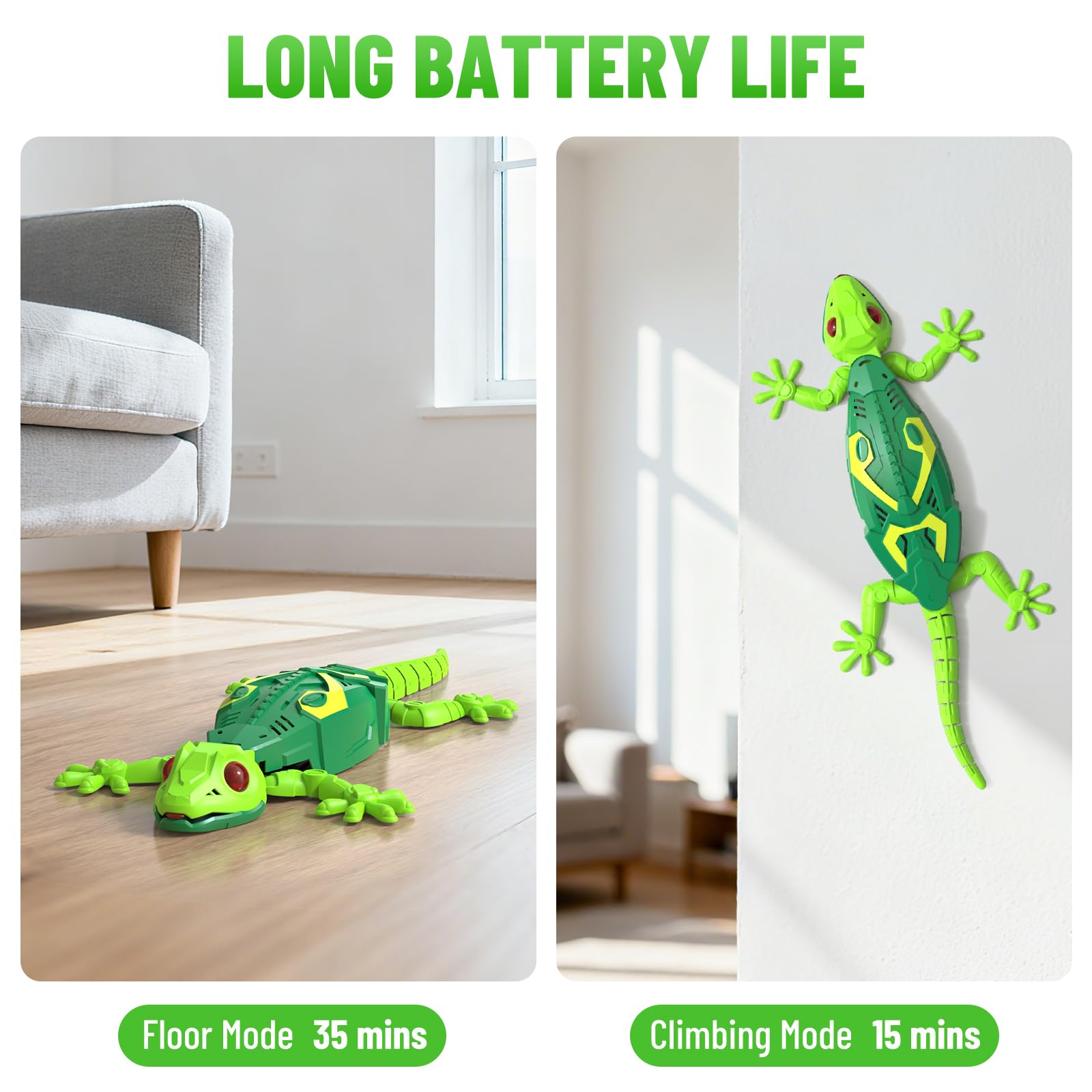 🦎 Lizard Play Pack – A Little Adventure That Brings Nature Closer