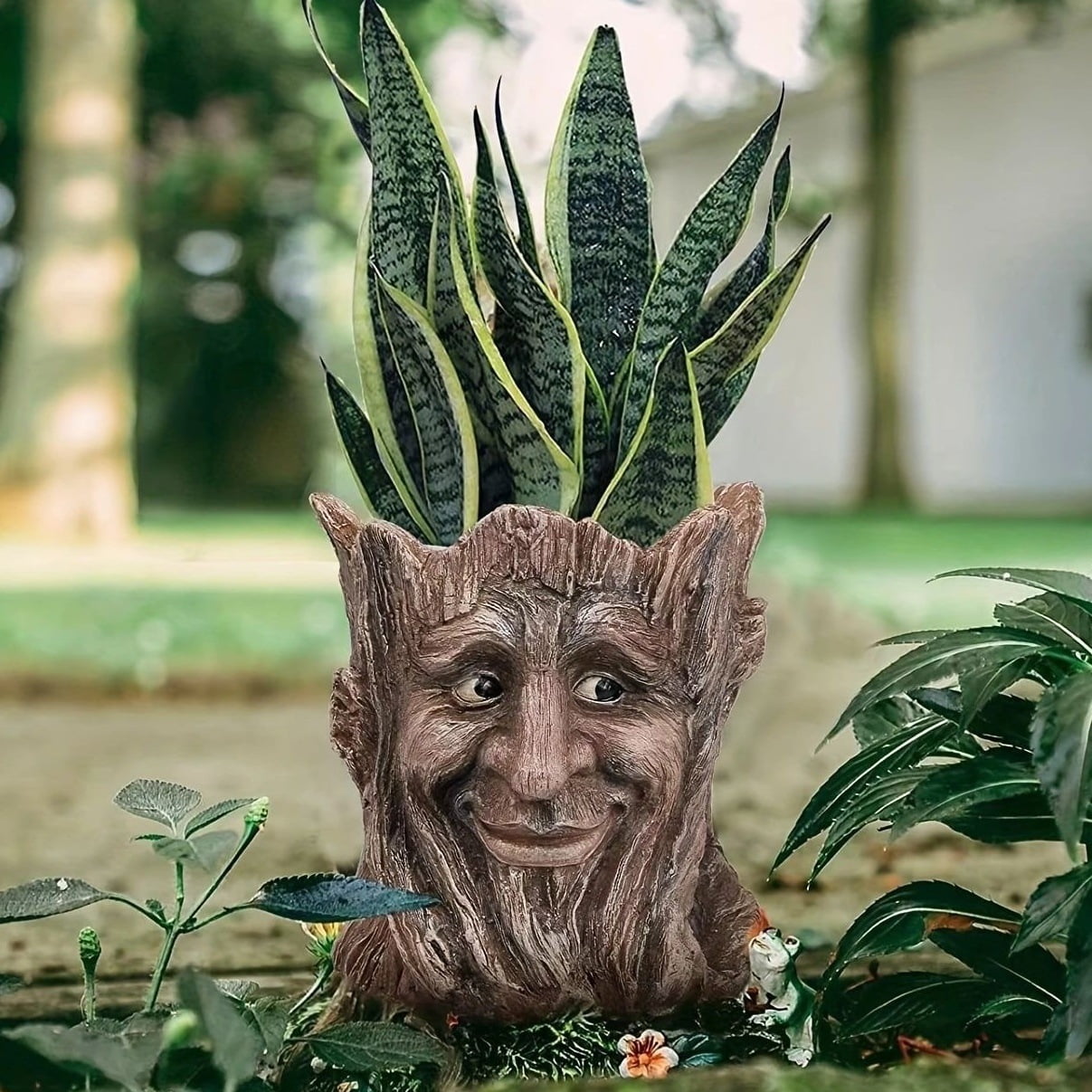 🌿Tree Spirit Face Planter