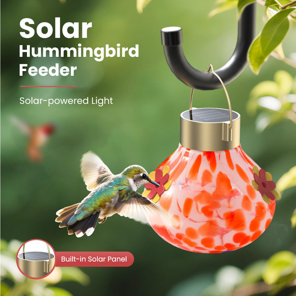 Solar Hummingbird Feeder with Light