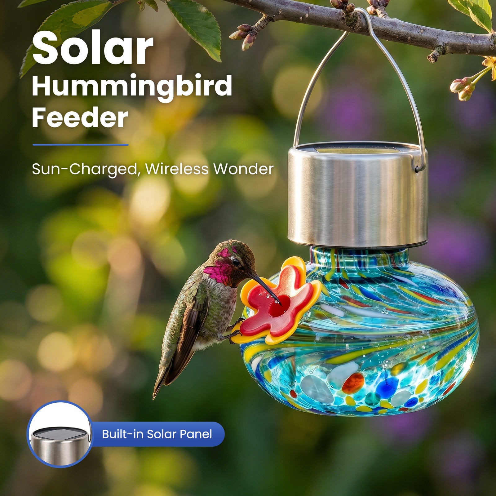 Solar Hummingbird Feeder with Light