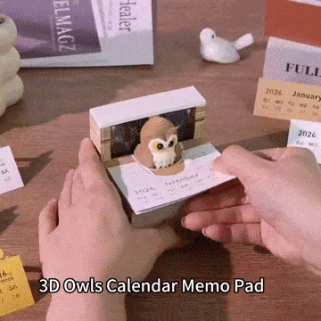 2026 Owl 3D Calendar with light
