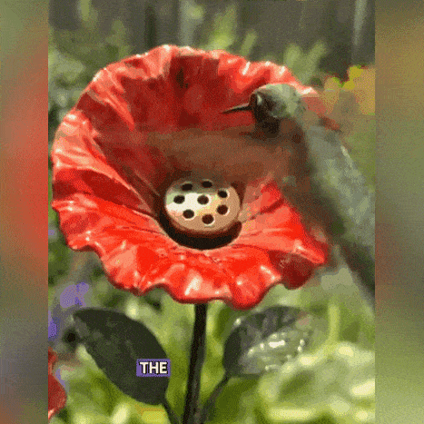 🌺 Red Flower Hummingbird Feeder Garden Stake