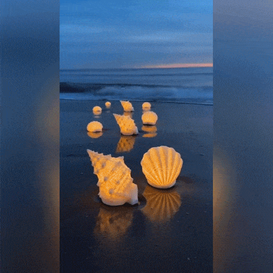 🌊Coastal Afterglow Shell & Conch Light