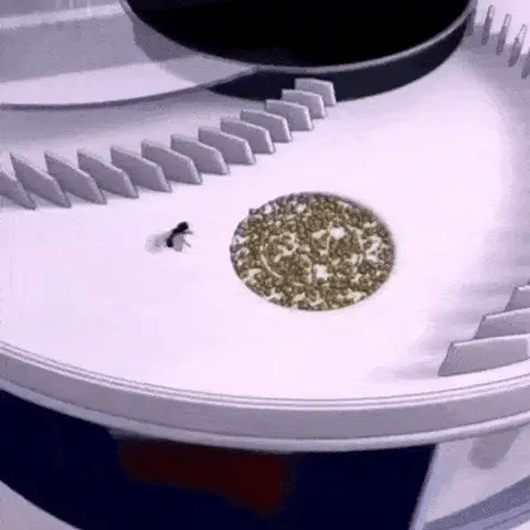 Automatic Home Fly Trap: A Fly Killer for Home, Cleansing the Restaurant!