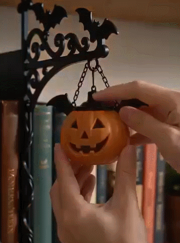 🎃Library Shelf Lantern