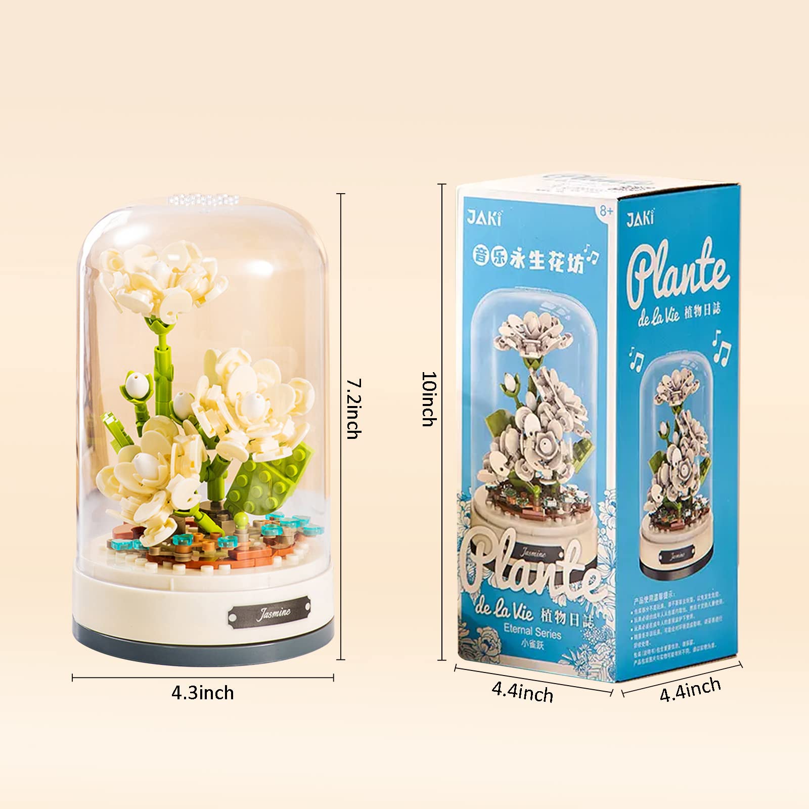 Music Box & Building Blocks