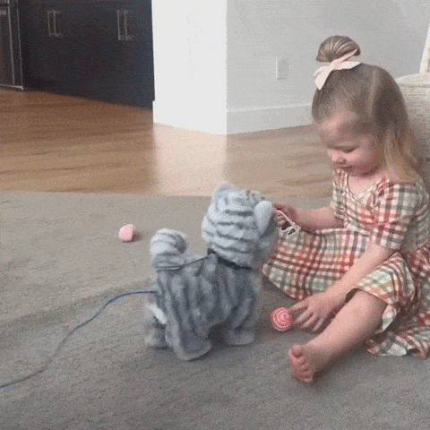 Walking Kitty Plush Toy
