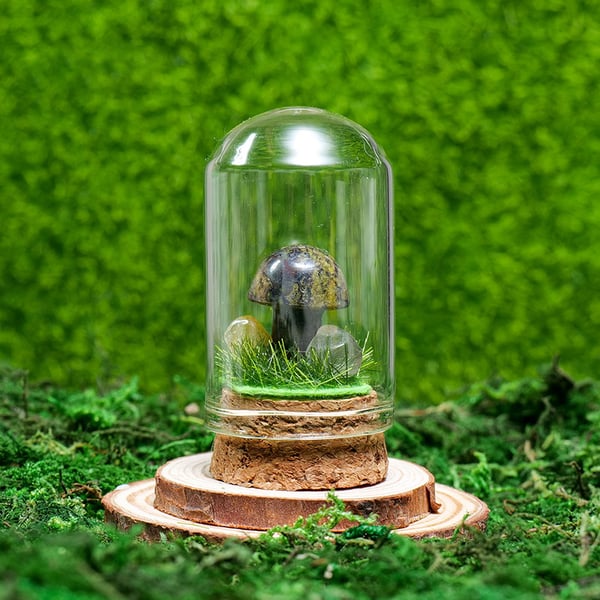 🍄Mini Crystal Mushroom Terrariums| Choose Your Natural crystal Mushroom