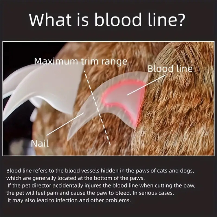 🐶🐱Pet Nail Clippers with LED Lights