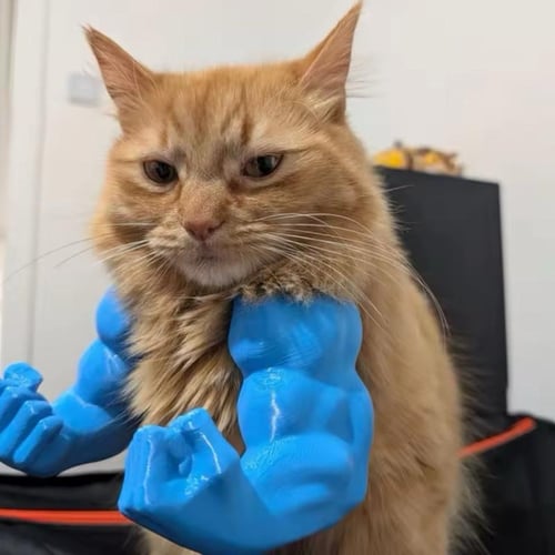 🔥2025 Summer Hot Sale - 48% OFF🔥Cat Muscle Arms – Funny 3D Printed Hulk Arms for Cats💪
