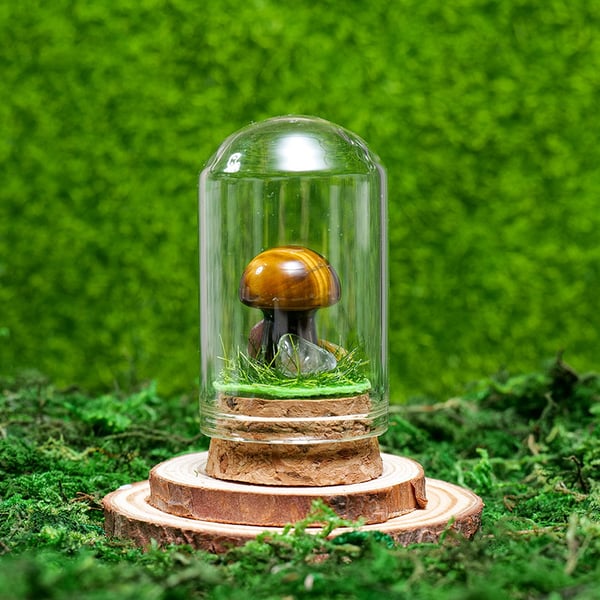 🍄Mini Crystal Mushroom Terrariums| Choose Your Natural crystal Mushroom