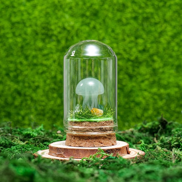 🍄Mini Crystal Mushroom Terrariums| Choose Your Natural crystal Mushroom