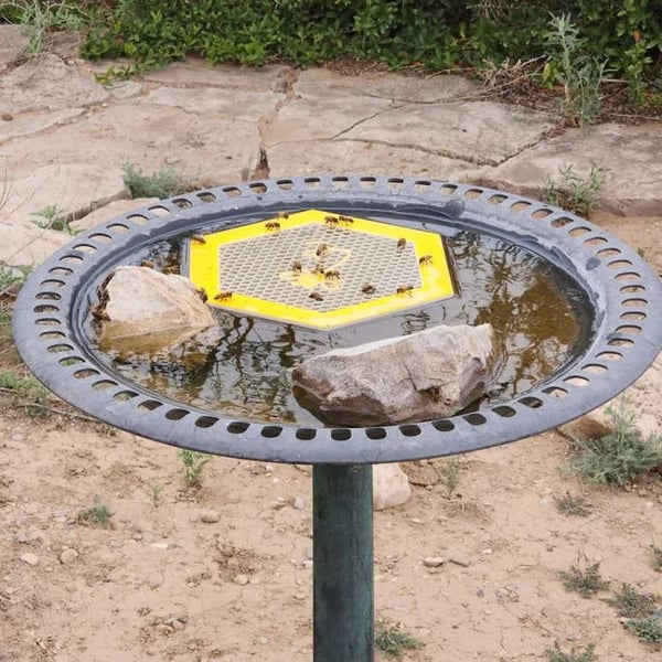 Floating Bee Island-Bee Waterer
