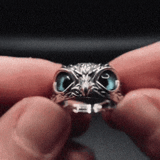 🔥2025 Adjustable Owl Ring