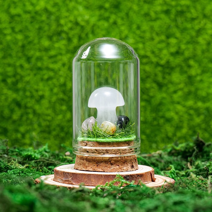 🍄Mini Crystal Mushroom Terrariums| Choose Your Natural crystal Mushroom