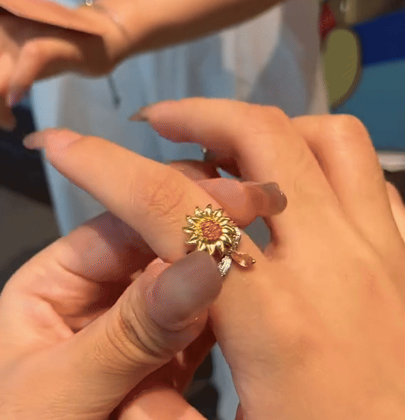 🎁Spinner Worry Rings