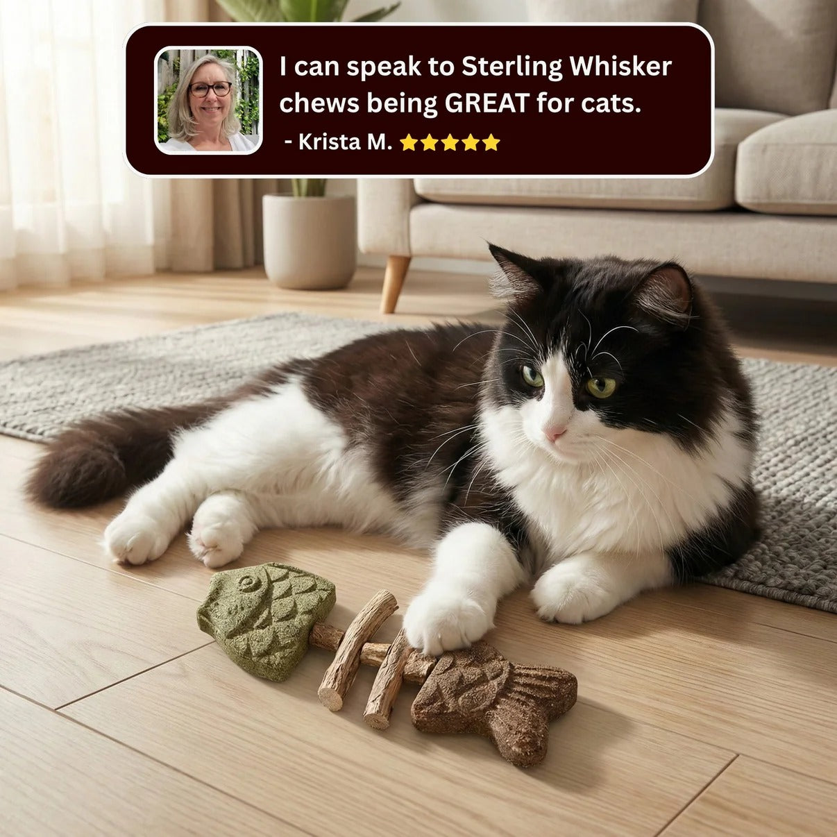 🦷🐱Natural Silvervine Dental Chew Toy for Cats-Let Your Cat Brush Their Own Teeth!
